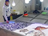 Balıkçılar denize açılamayınca tezgahlar boş kaldı