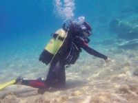 Foça'nın deniz çayırları gözlem altında tutuluyor