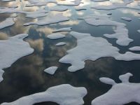 Arktik Okyanusu en az 16 yıl balıkçılığa kapatıldı