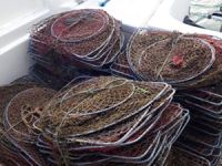 Eğirdir Gölü'nde kaçak avcılığa geçit verilmiyor