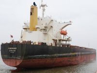 Apeejay ikinci dökme yük gemisini satın aldı