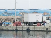 Akçakoca'da deniz salyangozu sevkiyatı yapılıyor