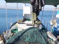 Ayvalık’ta deniz patlıcanı avcılarına taviz verilmiyor