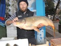 İznik Gölü'nde 20 kilogram sarı balık yakaladı