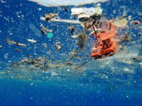 'A Plastic Ocean' İstanbul Üniversitesi’nde gösterilecek