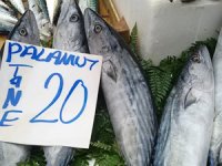 Edirne'de palamutun tanesi 20 liraya kadar yükseldi