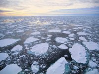 Kuzey Kutbu'nda kara parçaları erimeye devam ediyor