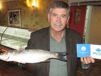 Muğla'da 'Kefal Balığı Avı Yarışması' yapılıyor