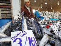 Hamsinin kilosu 20 liradan satılıyor