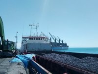 Deniz taşımacılığı ile yapılan kömür ithalatının düşmesi bekleniyor