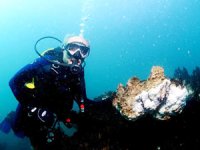 Bitlis'te 'su altı peribacaları' korumaya alınıyor