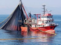 Ordulu balıkçılar Gürcistan'a avlanmaya gidiyor