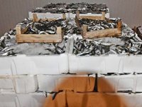 İstanbul'da bir yılda 173 ton balığa el konuldu