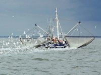 41 balıkçı gemisi destek için başvuruda bulundu