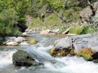 Alakır Çayı Doğal Sit Alanı korumaya alınıyor