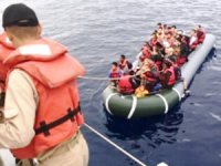 Aydın'da 46 kaçak göçmen yakalandı