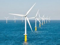 Shell, rüzgar çiftliği projesi hissesinin yarısını sattı