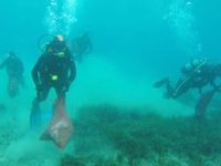 Yalıkavak Küdür Halk Plajı'nda temizlik çalışma yapıldı