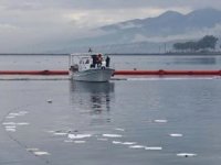 Urla’da denize yakıt sızdı, balıklar telef oldu