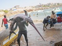 Türk balıkçılar Somali'de avlanabilecek