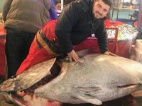 İzmir'de balıkçılar 523 kiloluk orkinos avladı