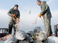 Van Gölü'nde inci kefali balıkçıları sevindirdi