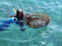 Bodrum'da deniz dibi temizliği yapıldı
