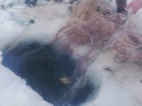 Balık Gölü’nde buzun altına atılan ağlarla balık avlanıyor