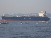 LPG ithalatı Kasım ayında yüzde 2.14 arttı