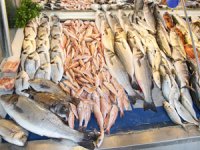 Türk balıkları New York’a ihraç edilmeye hazırlanıyor