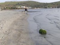 Bodrum'da deniz yaklaşık 10 metre çekildi