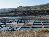 Tunceli'de kafes balıkçılığıyla 2 bin ton anaç balık üretiliyor
