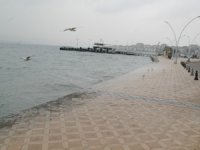 Değirmendere Sahili'ne önlem alınması isteniyor