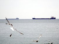 Marmara Denizi'nde lodos fırtınası etkisini kaybetti