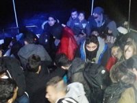 Bodrum’da 42 kaçak göçmen yakalandı