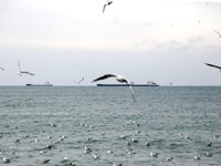 Marmara Denizi'nde poyraz etkisini kaybetti