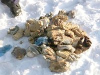 Nehir kıyısındaki poşetten 27 çift insan eli çıktı