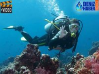 Yassıada, dalış turizmi için hazırlanıyor