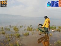 Dukan Barajı'nda 'ağ' yöntemiyle balık avlıyorlar