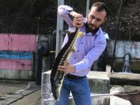 Mustafa Şahin, Yenice'deki balık tesisini inceledi