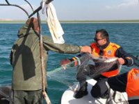 Van Gölü'nde kaçak avcılık yapanlara operasyon düzenlendi