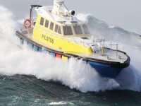 Leixoes Limanı, Safehaven'a kılavuz botu sipariş etti