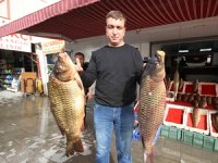 Beyşehir’de baraj balıkları tezgahta yerini aldı