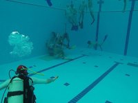 Sualtı Ragbisi U21 Federasyon Kupası başlıyor