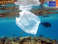 Deniz ve okyanuslardaki plastik miktarı üç katına çıkabilir