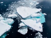 Arktik deniz buzu yüz ölçümü düşük seviyede çıktı