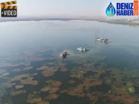 Mogan Gölü'nün temizlenmesi için çalışmalar başladı