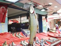 Elazığ'da 38 kiloluk turna balığı yakalandı