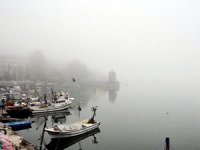 Zonguldak'ta sis nedeniyle balıkçılar limana sığındı