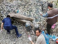 Iğdır'da suyu azalan balıklar için seferber oldular